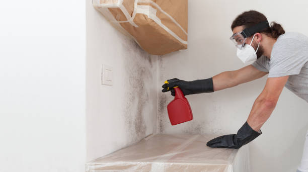 Professional Commercial Mold Remediation technician working in Eagle, MI