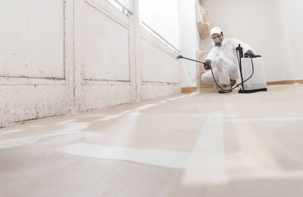 Trusted Commercial Mold Remediation service in Eagle, MI - WQB Mold Removal