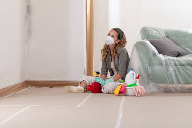 Reliable Commercial Mold Remediation contractor in Eagle, MI by WQB Mold Removal